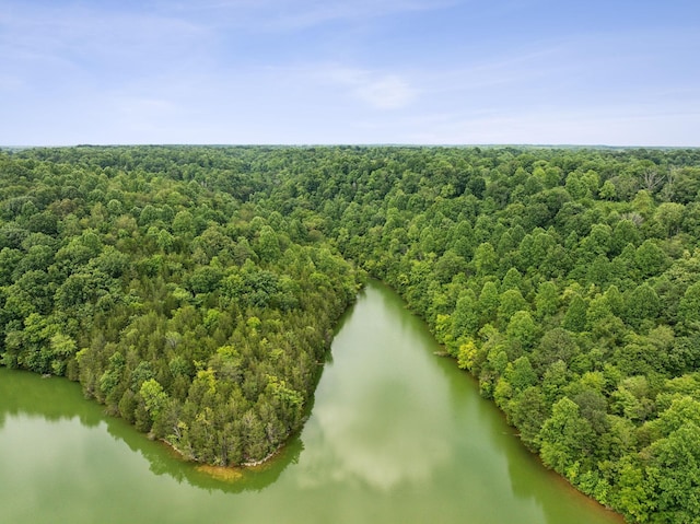 bird's eye view featuring a forest view and a water view