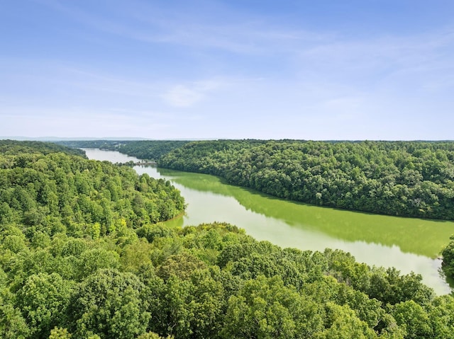 aerial view featuring a forest view and a water view