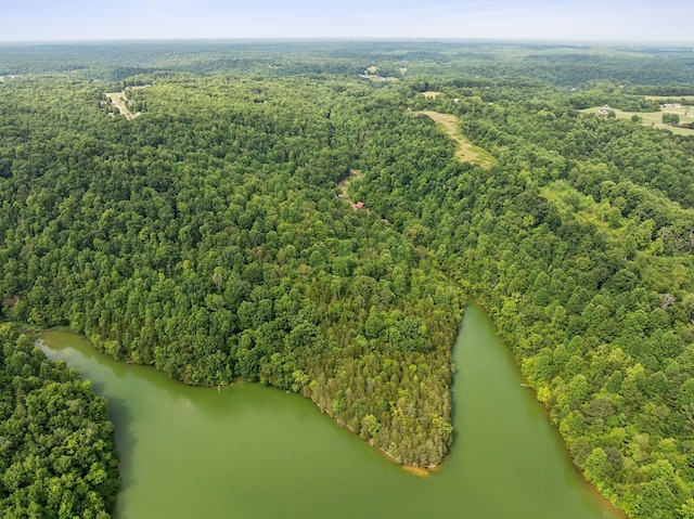 birds eye view of property with a water view and a view of trees