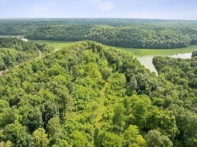 drone / aerial view with a water view and a forest view
