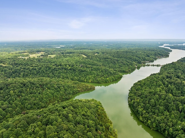 drone / aerial view with a water view and a forest view