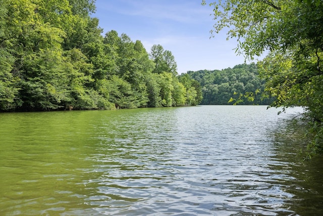 property view of water with a wooded view