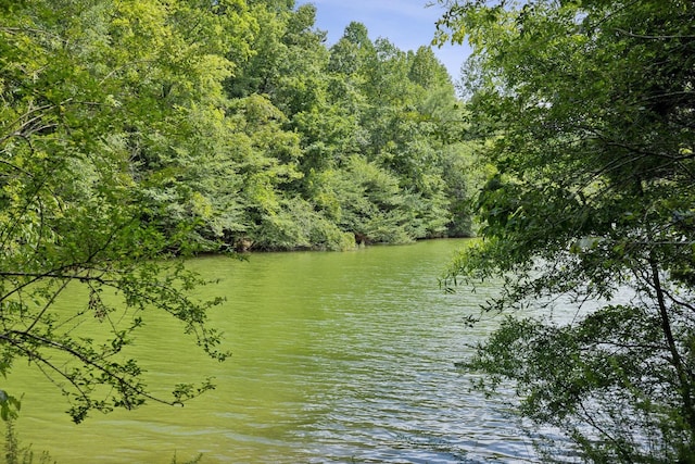water view with a view of trees