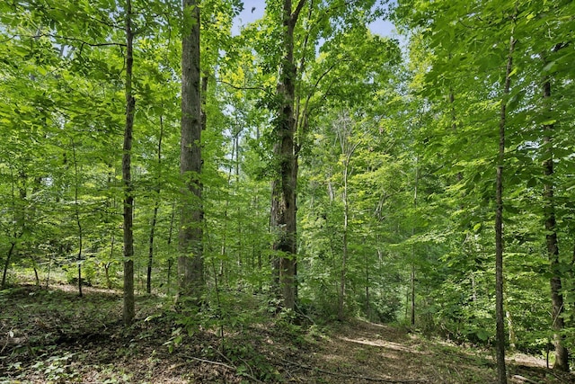 view of nature with a view of trees