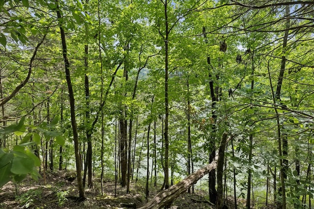view of landscape featuring a wooded view