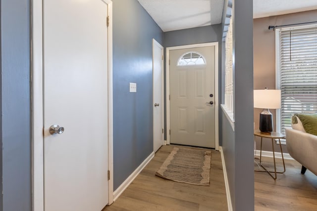 entrance foyer with plenty of natural light, baseboards, and light wood-style floors