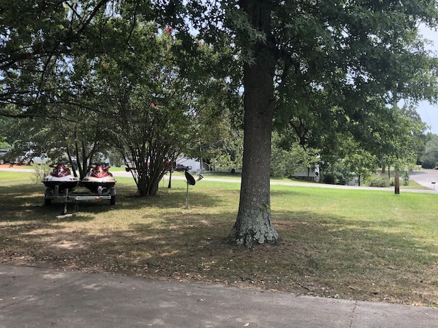 832 Pineview Dr, Springville, TN 38256 - view of community featuring a yard