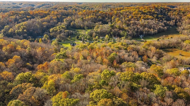 5267 Lickton Pike, Goodlettsville, TN 37072 - drone / aerial view featuring a forest view
