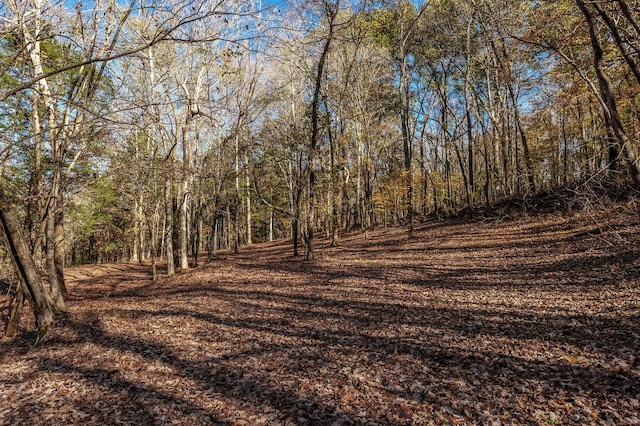 5267 Lickton Pike, Goodlettsville, TN 37072 - exterior space featuring a wooded view