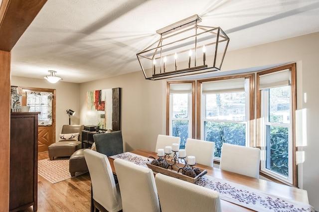 5267 Lickton Pike, Goodlettsville, TN 37072 - dining area featuring a textured ceiling, wood finished floors, and a healthy amount of sunlight