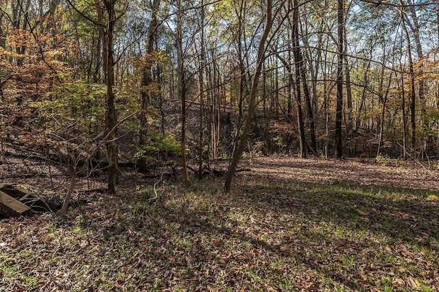 5267 Lickton Pike, Goodlettsville, TN 37072 - view of local wilderness featuring a view of trees