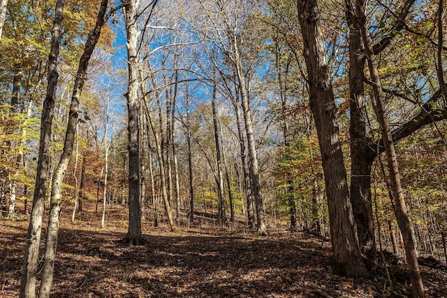 5267 Lickton Pike, Goodlettsville, TN 37072 - view of nature featuring a forest view
