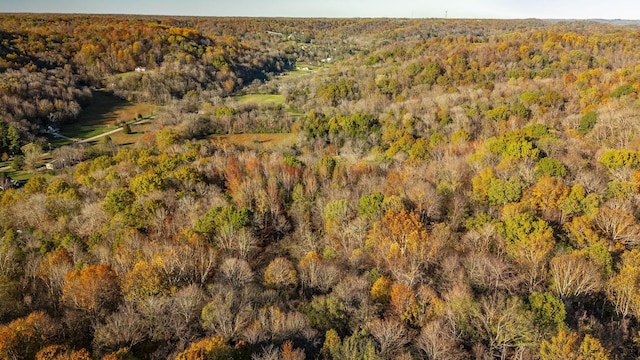 5267 Lickton Pike, Goodlettsville, TN 37072 - bird's eye view with a forest view