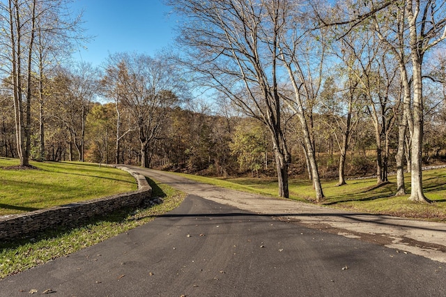 5267 Lickton Pike, Goodlettsville, TN 37072 - view of road featuring a wooded view