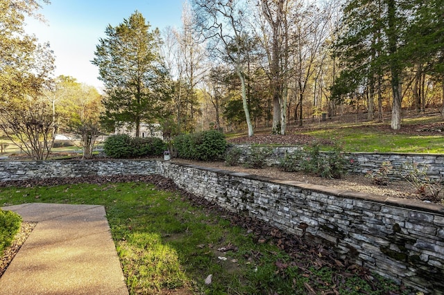 5267 Lickton Pike, Goodlettsville, TN 37072 - view of yard