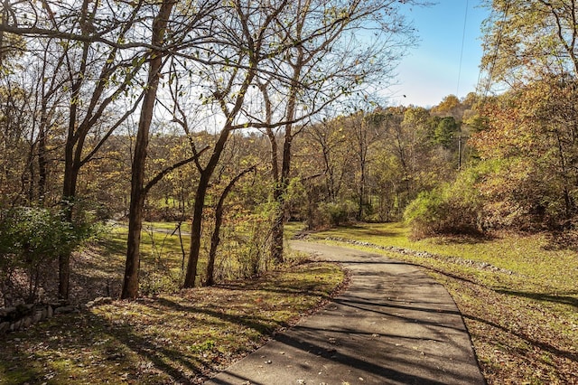 5267 Lickton Pike, Goodlettsville, TN 37072 - view of road featuring a view of trees