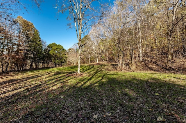 5267 Lickton Pike, Goodlettsville, TN 37072 - view of yard featuring a forest view