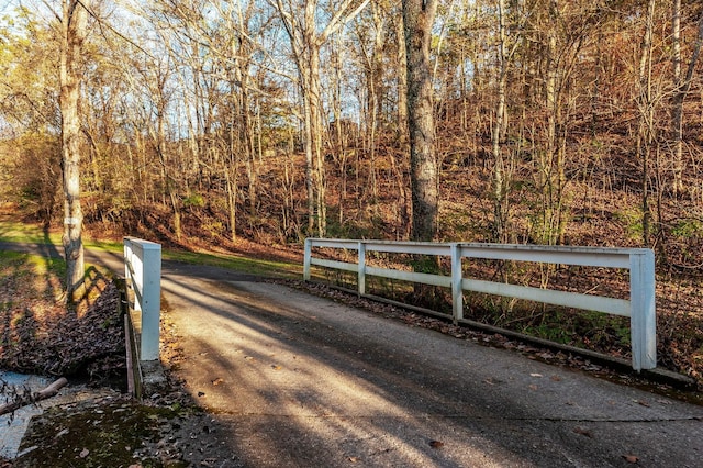 5267 Lickton Pike, Goodlettsville, TN 37072 - view of street with a view of trees