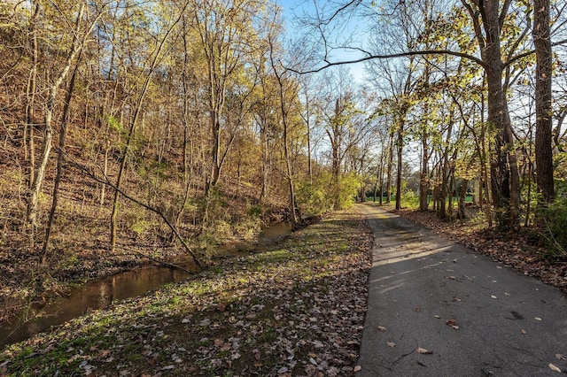 5267 Lickton Pike, Goodlettsville, TN 37072 - view of street featuring a forest view