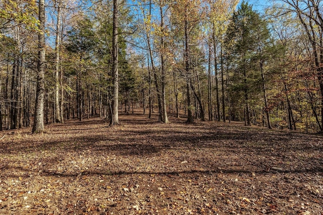 5267 Lickton Pike, Goodlettsville, TN 37072 - view of nature with a forest view