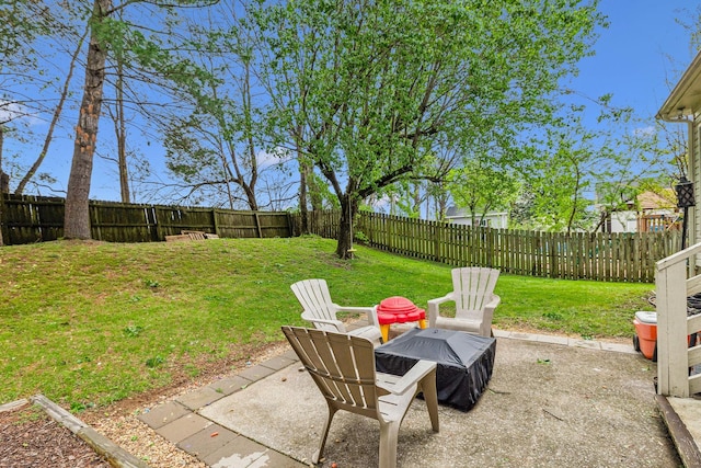 view of yard with a fenced backyard and a patio
