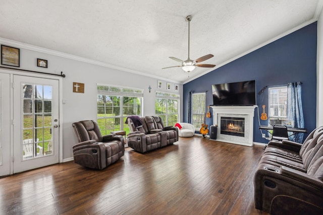 living area featuring wood-type flooring, ceiling fan, and plenty of natural light