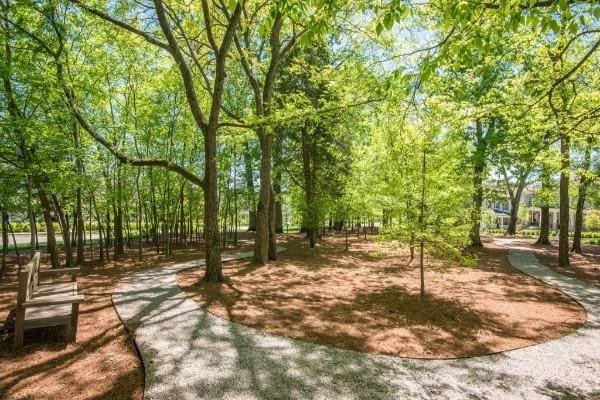 249 Moray Ct, Franklin, TN 37064 - view of community