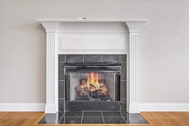 106 Irving Hills Ct, Lascassas, TN 37085 - details featuring baseboards, a fireplace, and wood finished floors