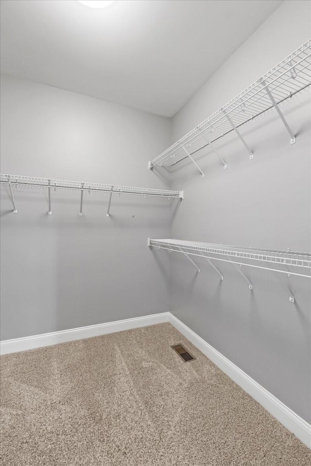 106 Irving Hills Ct, Lascassas, TN 37085 - spacious closet with carpet floors and visible vents