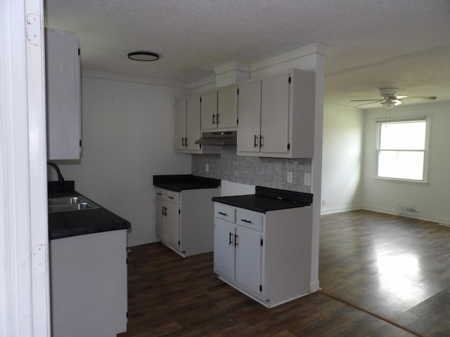 kitchen featuring a sink, a ceiling fan, under cabinet range hood, dark countertops, and dark wood-type flooring