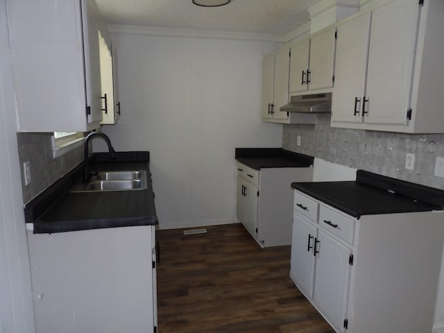 kitchen with ornamental molding, dark countertops, under cabinet range hood, a sink, and backsplash