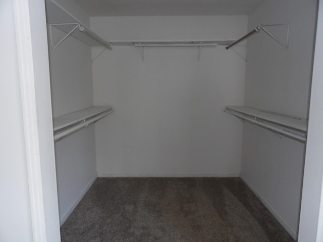 walk in closet featuring light colored carpet