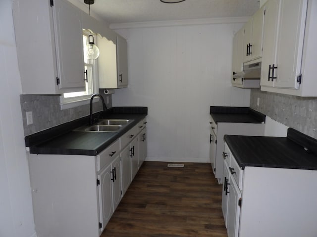 kitchen featuring a sink, tasteful backsplash, under cabinet range hood, dark countertops, and dark wood-type flooring