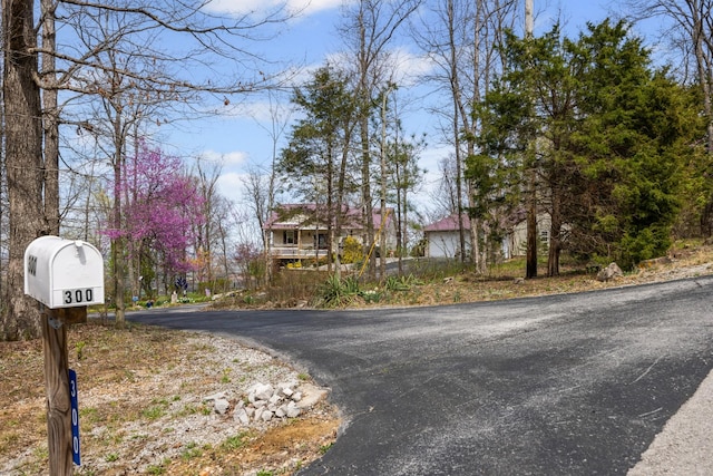 300 Iron Gap Rd, Belvidere, TN 37306 - view of street