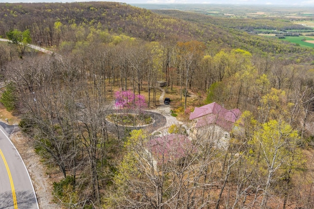 300 Iron Gap Rd, Belvidere, TN 37306 - aerial view of a heavily wooded area