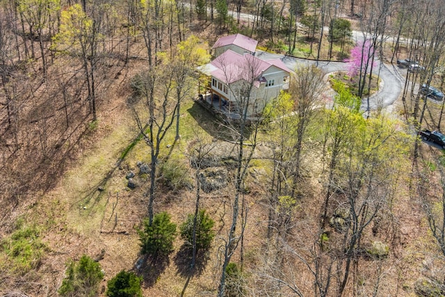 300 Iron Gap Rd, Belvidere, TN 37306 - view of subject property