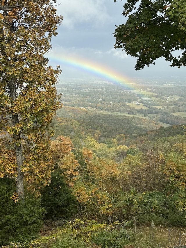 300 Iron Gap Rd, Belvidere, TN 37306 - view of mountain backdrop featuring a heavily wooded area
