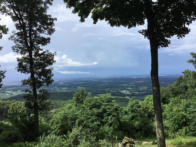 300 Iron Gap Rd, Belvidere, TN 37306 - view of mountain background featuring a heavily wooded area