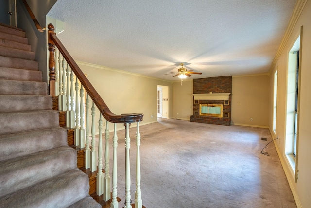 2530 Collinwood Hwy, Collinwood, TN 38450 - photo 9