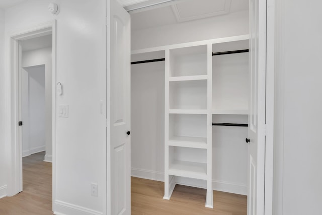 view of closet