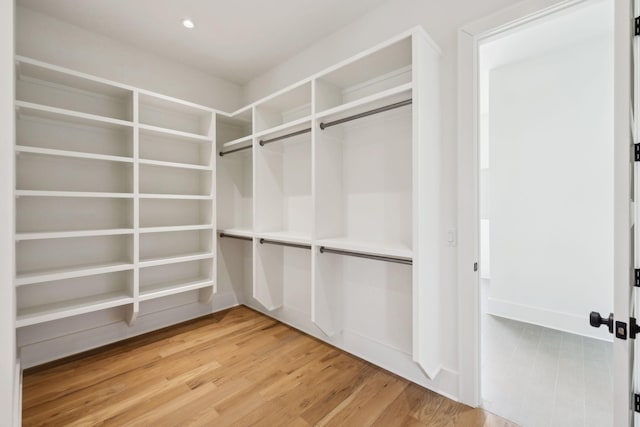 spacious closet featuring light wood finished floors