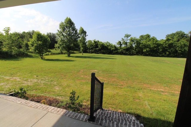 2111 Horton Way, Lewisburg, TN 37091 - view of green lawn