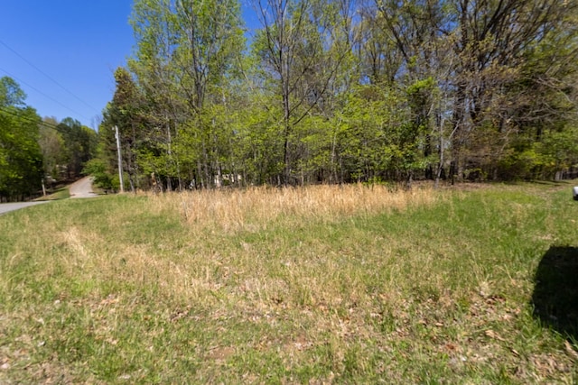 0 Hilltop Dr, Winchester, TN 37398 - photo 16
