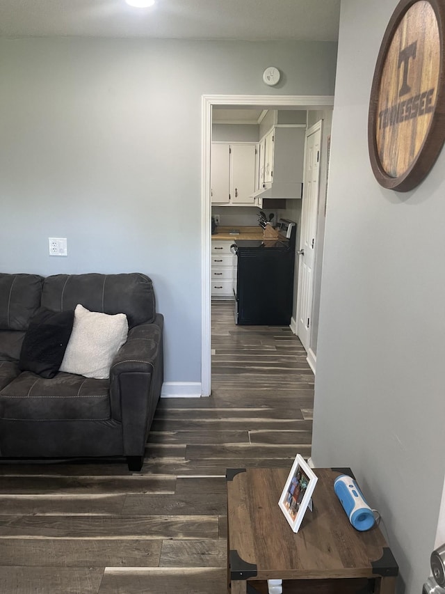 living room featuring baseboards and dark wood finished floors