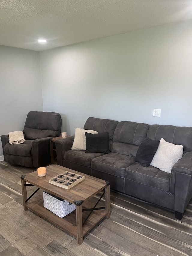 living area featuring wood finished floors