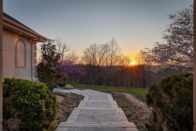 720 Valhalla Ln, Brentwood, TN 37027 - view of yard