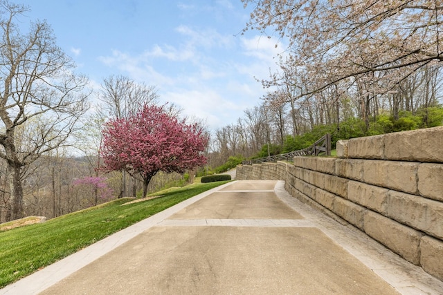 720 Valhalla Ln, Brentwood, TN 37027 - view of street