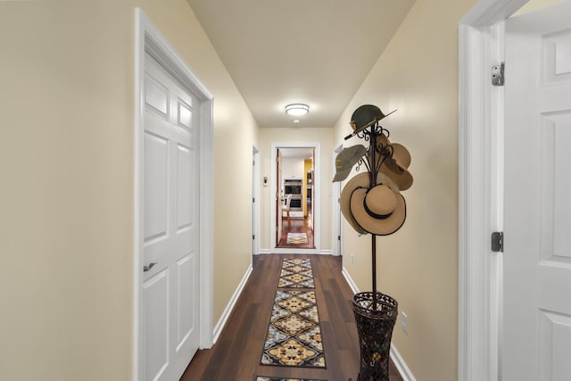 1737 Bratton Ln, Williamsport, TN 38487 - corridor with dark wood-type flooring and baseboards