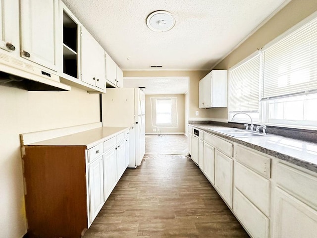 kitchen with a sink, wood finished floors, a textured ceiling, under cabinet range hood, and freestanding refrigerator
