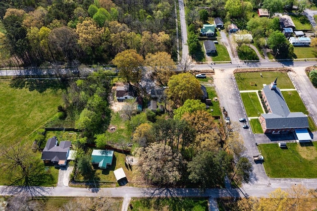 drone / aerial view